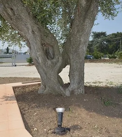 Agroturismo Tenuta Don Giovanni *